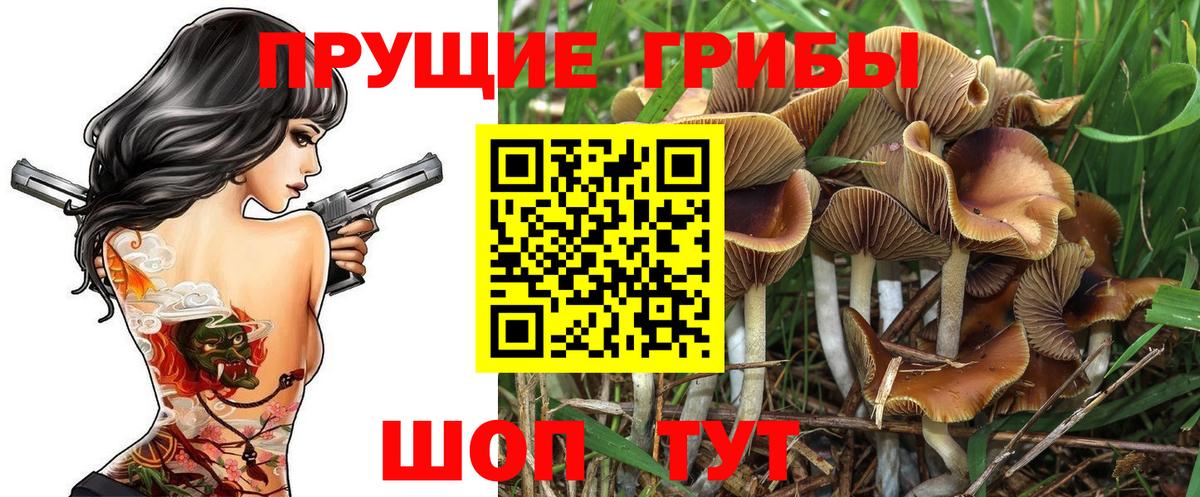 Пенза  Галлюциногенные грибы мухоморы  Вход с VPN 