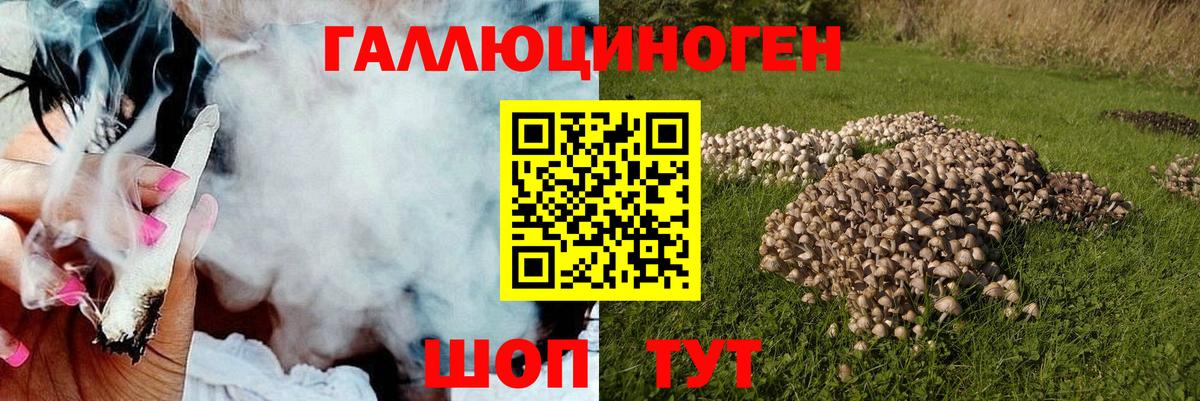 Галлюциногенные грибы MAGIC MUSHROOMS Пенза